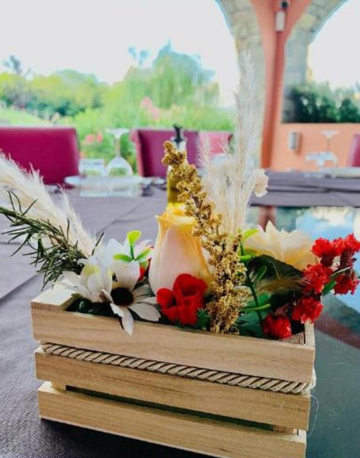 ジェノヴァ Le Stanze Del Brigante Bed & Breakfast エクステリア 写真